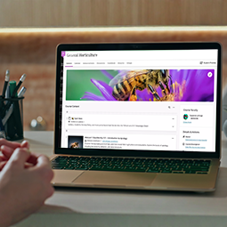 Online Course Development