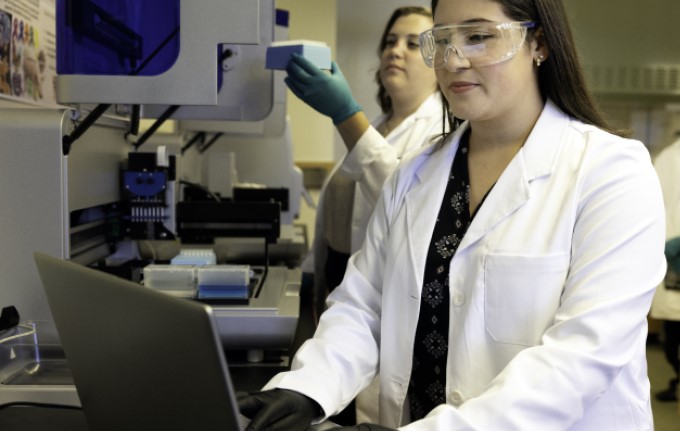A public health researcher enters data into a laptop computer while working in the lab.