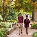 USC Columbia campus