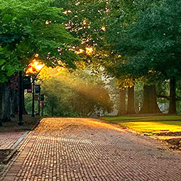 Brick path on the horseshoe with sun streaming down through the trees.