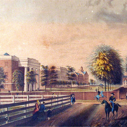 illustration of the historic horseshoe from 1850 with brick buildings and wall infront of a green space lined with palmetto trees.
