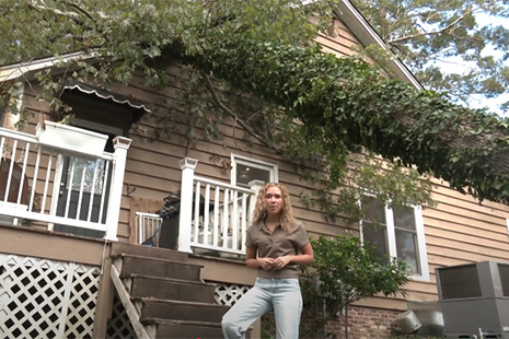 tree on a house