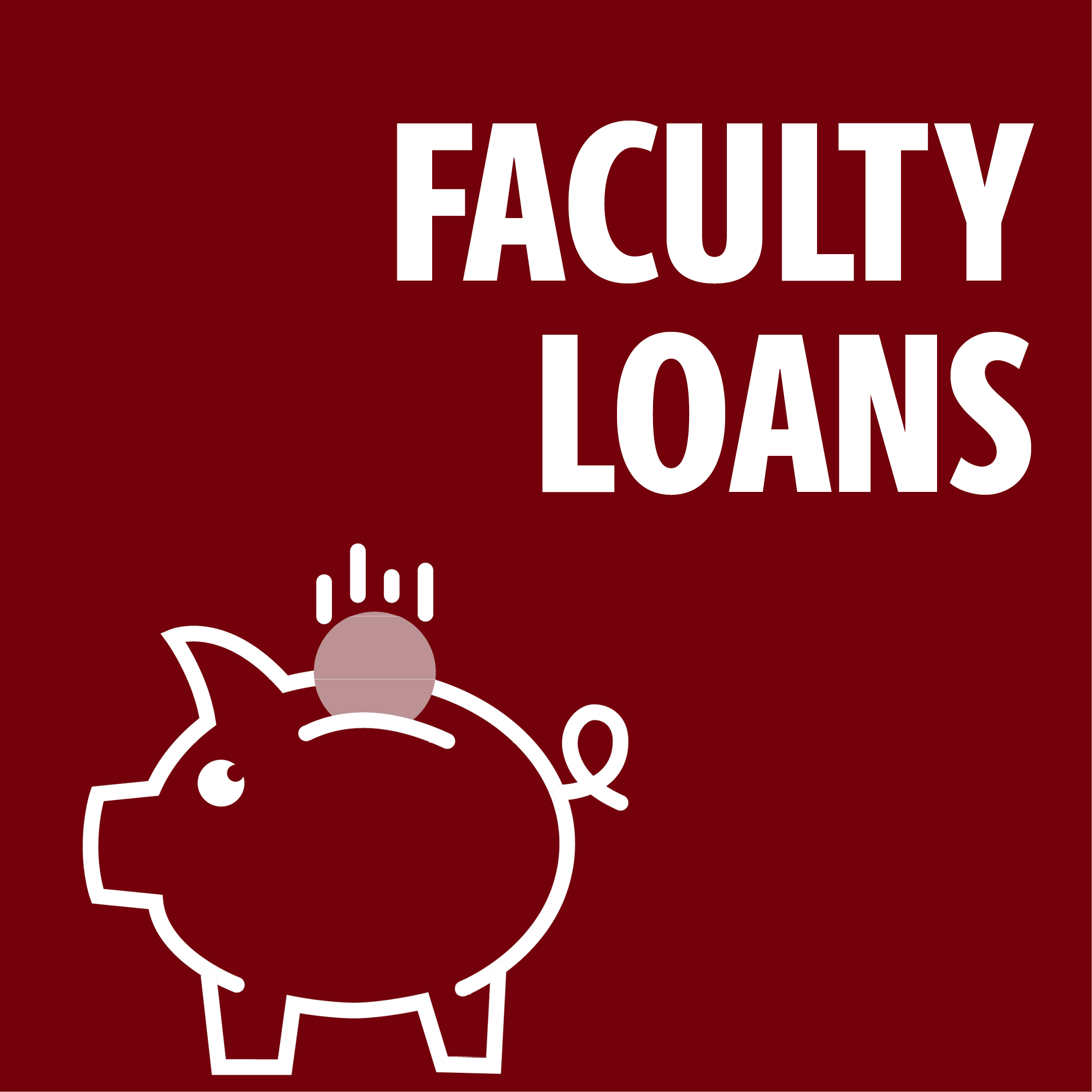 faculty loan