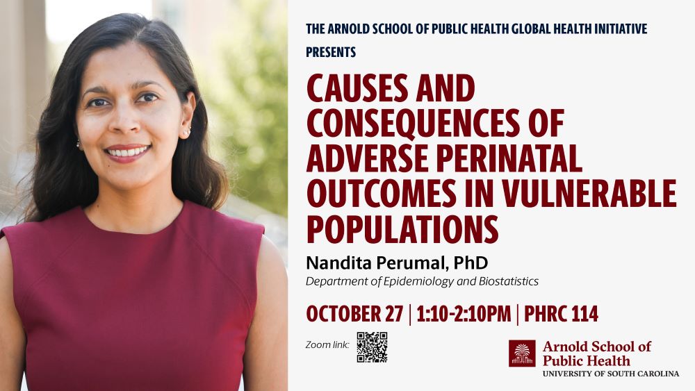 Nandita Perumal Seminar recording