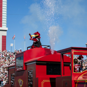 Gameday at Williams-Brice
